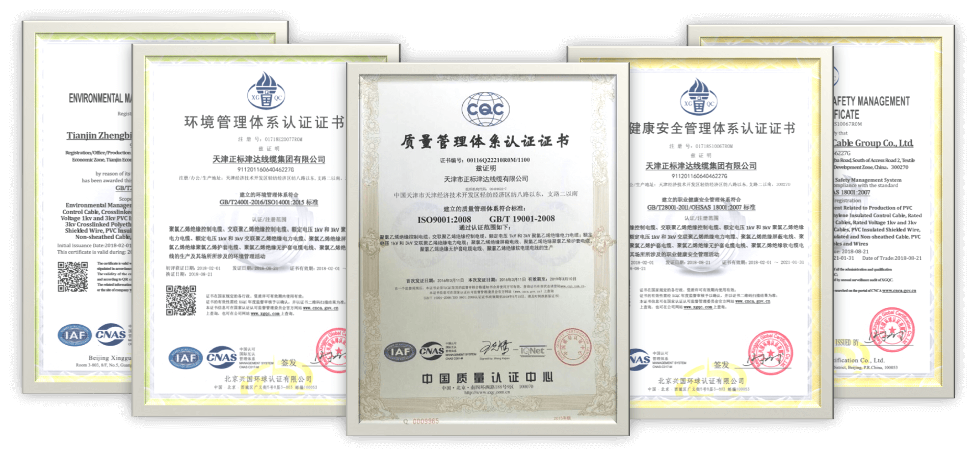 242net官网登录入口